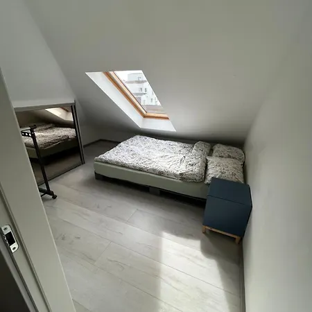 Sun Filled Oasis Apartment *